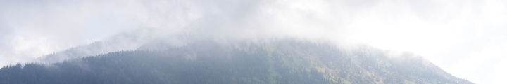 Dekorationsbild