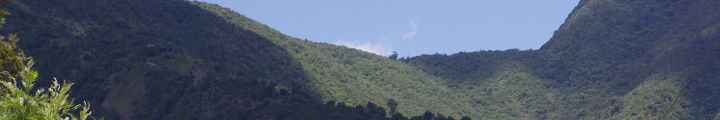 Dekorationsbild